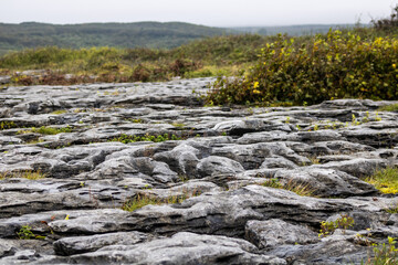 rocky landscape
