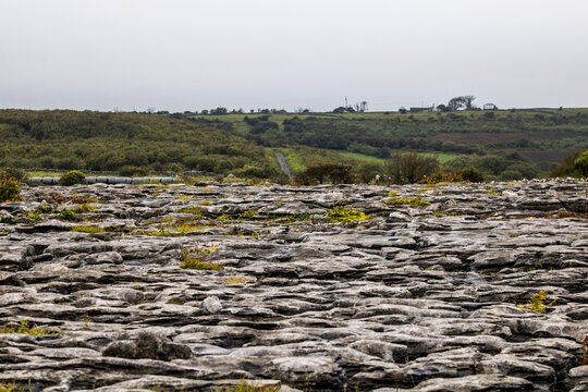 Burren