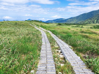 Obraz premium 立山弥陀ヶ原の湿原に敷かれた木道を捉えた風景写真。まっすぐに伸びる木道が、緑の草木が広がる湿原と、遠くの山々へと続いています。夏の青空と雲が清々しい雰囲気を醸し出しています。