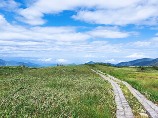 立山弥陀ヶ原の湿原に敷かれた木道を捉えた風景写真。なだらかな湿原の先に山々が連なり、夏の青空に大きな白い雲が広がる開放的な景色が広がっています。