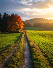 Autumnal path through a vibrant landscape