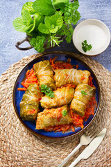 Stuffed cabbage leaves. Cabbage wraps. Chou farci, dolma, sarma, golubtsy or golabki. View from...