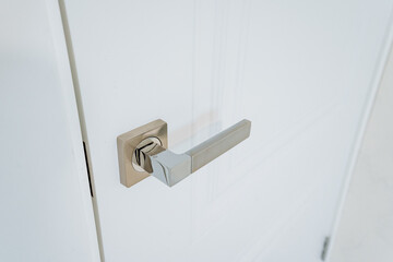 This image provides a detailed close up of a stylish door handle that is fixed on a pristine white door, emphasizing its design and functionality in household aesthetics