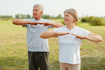A calm morning finds an elderly couple engaging in tai chi together amidst the lush greenery of a peaceful park setting