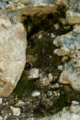 Abstract Vertical Stone Background With Moss.