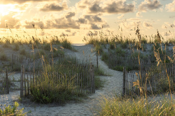 Ocean Path through the dunes