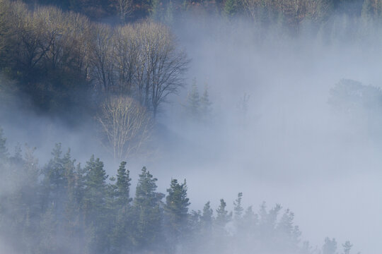 Fog in Altzo, Tolosaldea, Gipuzkoa, Spain