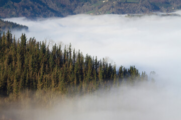Fog in Orendain, Tolosaldea, Gipuzkoa, Spain