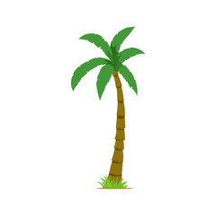 Simple illustration of a tall palm tree with green leaves and brown trunk in white background