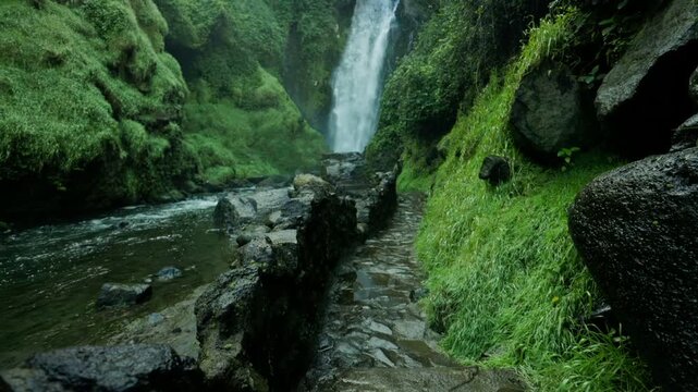 Amanecer dentro del bosque natural en la Cascada de Peguche en Otavalo, Ecuador.