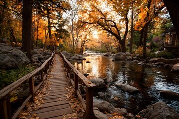Autumn forest bridge with sunlight reflecting on water
