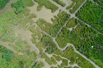 Urdaibai Natural Reserve, Murueta, Bizkaia, Spain