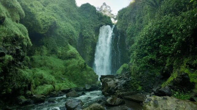 Amanecer dentro del bosque natural en la Cascada de Peguche en Otavalo, Ecuador.