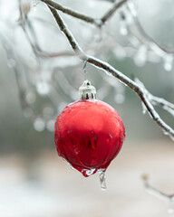 red christmas ball in ice