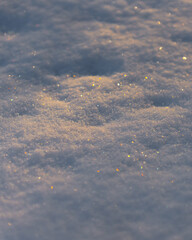 Fresh Sparkling Snow