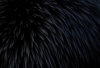 Fototapeta premium Close-up of deep black fur, showing individual hairs and subtle sheen, pattern, fibers