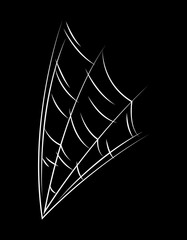 Spider web for Halloween. White hand drawn illustration.