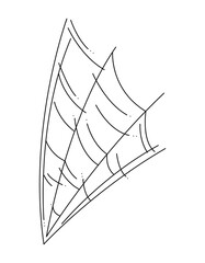 Doodle web as a symbol of Halloween. Black hand drawn illustration.