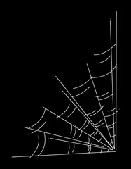 Doodle web for Halloween. White hand drawn illustration.