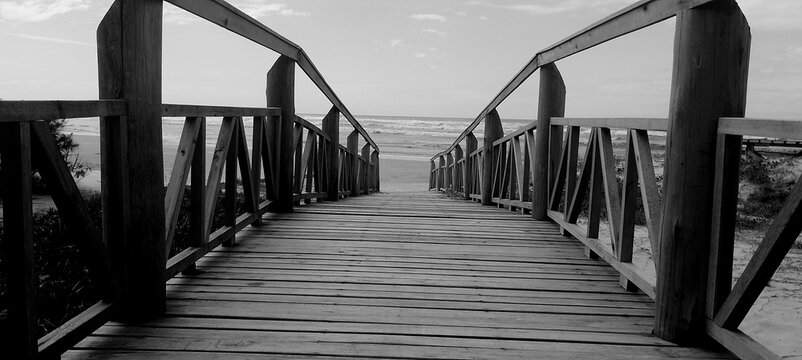 black and white photograph of the pier - Powered by Adobe