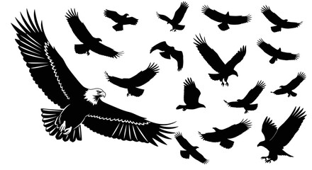 Obraz premium A collection of black silhouette eagles in various flight poses, with a large detailed bald eagle in the foreground, isolated on a white background.