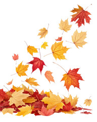 Fototapeta premium Falling autumn leaves create vibrant display of red, orange, and yellow hues, capturing essence of season beauty and change