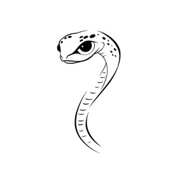 Fototapeta premium Viper. Viper simple black and white line art vector logo