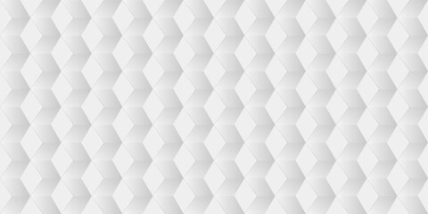 Fototapeta premium Web