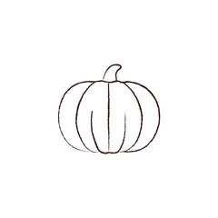 line vector illustration of a pumpkin. hand drawn halloween pumpkin. halloween jack-o-lantern.