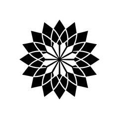 Obraz premium Geometric floral design with sharp petals on transparent background