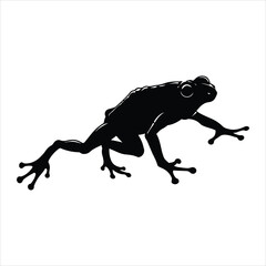 Silhouette of a small tree frog perched and ready to leap captured in dynamic pose