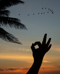 Silhouette of adult male praying at sunset with birds flying in the sky