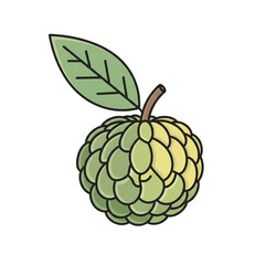 Obraz premium Sweet, tropical custard apple with a single green leaf and stem