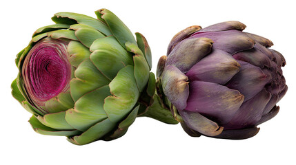 Fototapeta premium Close up of two artichokes one green with purple center and one purple on a black background