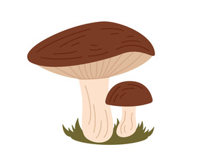 Simple mushroom. Two cute mushrooms. Design element. Autumn season. Vector illustration