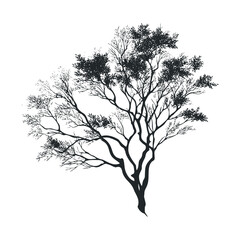 Obraz premium Black silhouette of a deciduous tree with sparse branches and leaves.