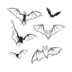 Fototapeta premium A group of various black and white sketched flying bats.