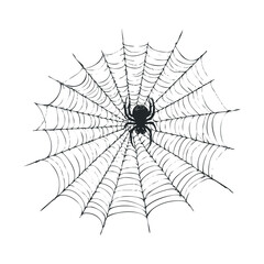 Fototapeta premium Ink drawing of a spooky spider centered on a circular web.