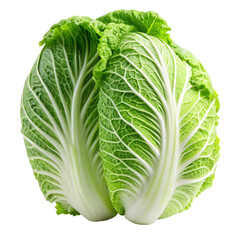 Obraz premium Chinese Cabbage isolated on a transparent background