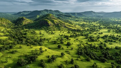 Obraz premium Lush green landscape of rolling hills and savanna
