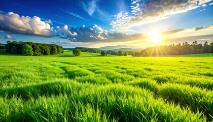 A vivid sunrise illuminates a lush green meadow. Rolling hills, a treeline, and a vibrant blue sky with puffy clouds complete the scenic panorama