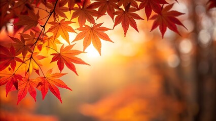 Vibrant red and orange autumn maple leaves on a branch, backlit by the warm, golden sunlight.