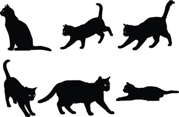 Black cat silhouette vector set, feline poses collection, walking, sitting, stretching, playful, lying down, animal illustration for design, decoration, print