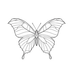Leaf Butterfly Minimal Line Drawing