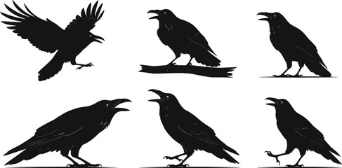 raven, bird, wildlife, animal, silhouette, icon, vector, illustration, black, white, flying, perched, standing, calling, posture, anatomy, feathers, forest, study, design, behavior, corvid
