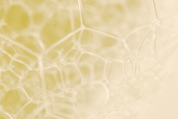Abstract background, foamy cell structure
