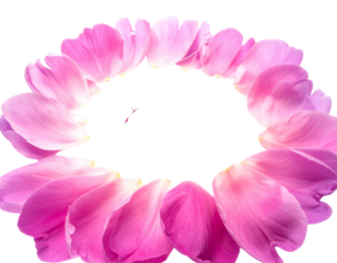 Vibrant Peony Petals Rainbow Arrangement in Arc Shape on Transparent Background