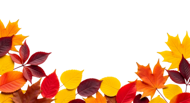 Vibrant autumn leaves in red, orange, and yellow, arranged in a pleasing pattern to create a seasonal frame for content