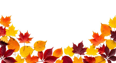 Vibrant Fall Foliage Border with Autumn Leaves in Shades of Red, Orange, and Yellow on a White Background, Perfect for Seasonal Designs