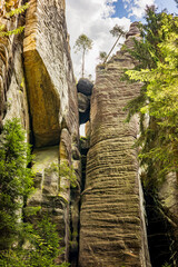Obraz premium Picturesque high cliffs with a large stone stuck between them, on which a tree has grown. Teplice Rocks, Czech Republic